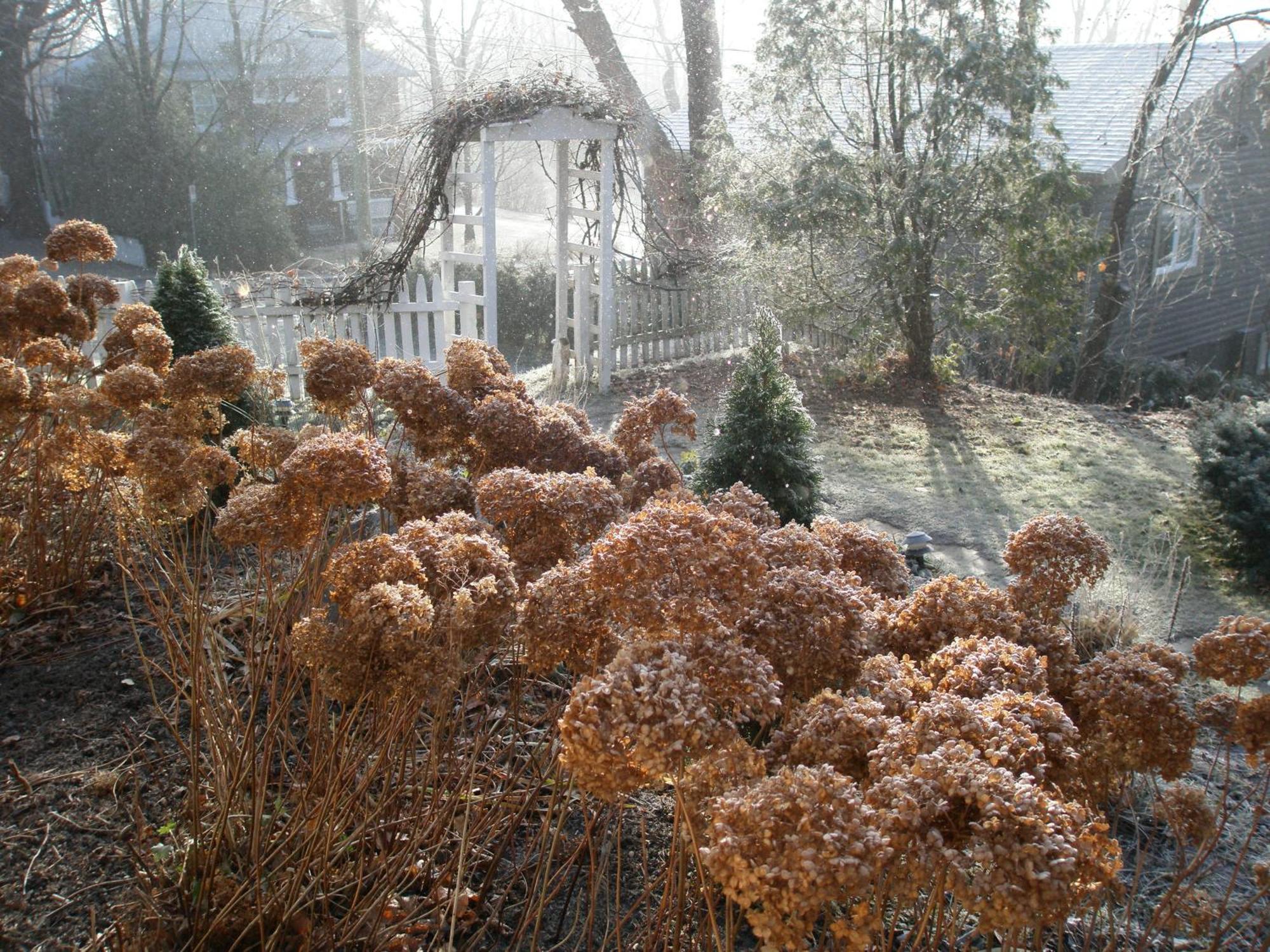 O Bois Dormant B&B Magog Exterior photo