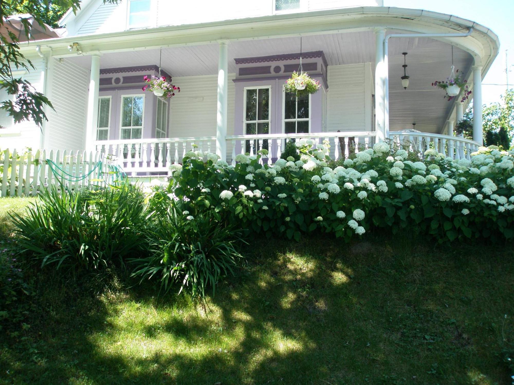 O Bois Dormant B&B Magog Exterior photo